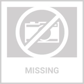 2Pcs Pet Dog Seat Belt Leash Adjustable Pet Dog Cat Safety Leads Harness (Option: Black)