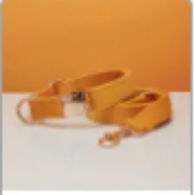 Multiple Colour Velvet Personalise Dog Collar Leash Set With Bow (Option: Yellow set-XS)